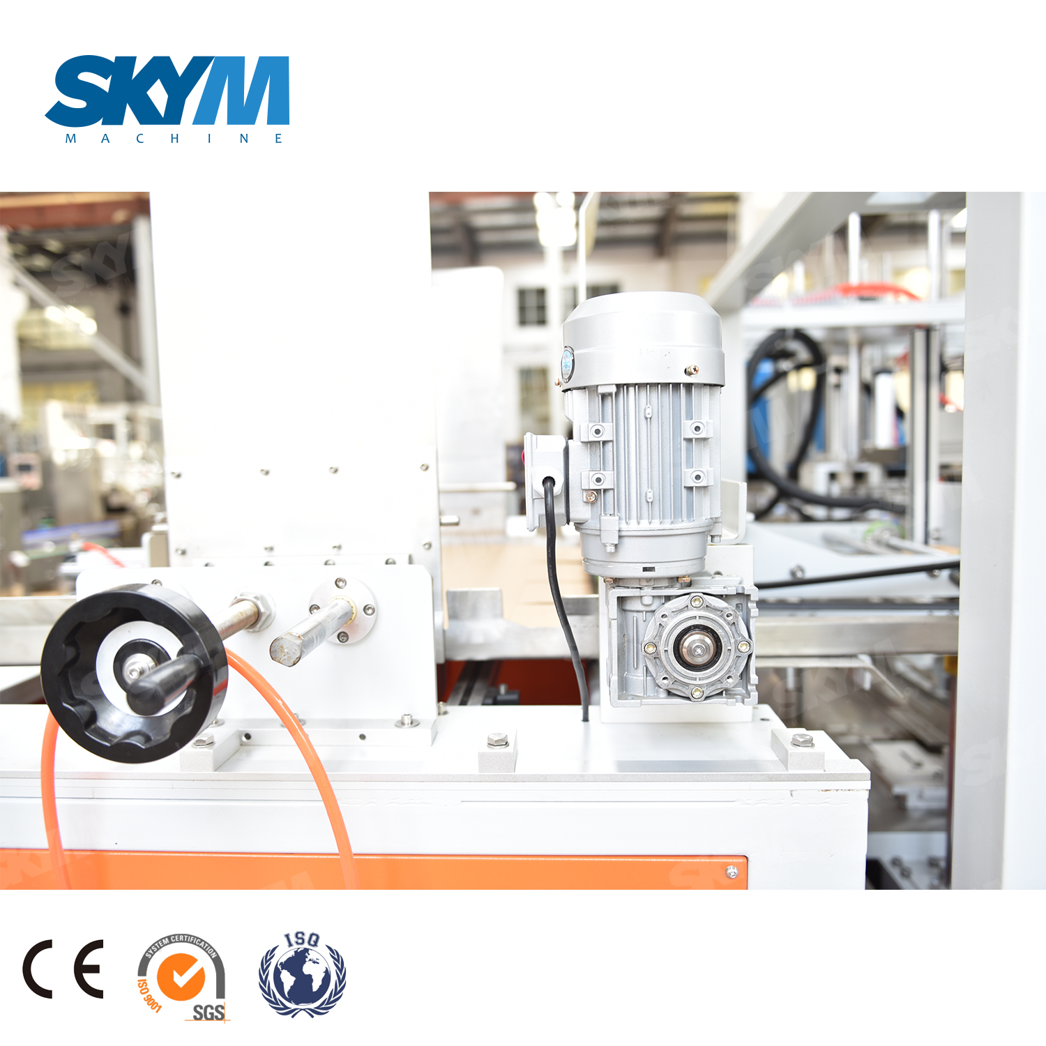Automatic Carton Sealer Beverage Bottling Cartoning Machine